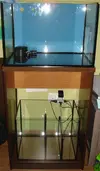 [TodoMarino.com] duda sump