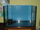 [TodoMarino.com] duda sump
