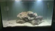 [TodoMarino.com] Holaa!!! proyecto 60l