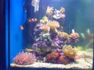 [TodoMarino.com] Mi nano