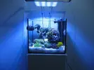 [TodoMarino.com] AI SOL SUPER BLUE 75 w