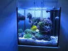 [TodoMarino.com] AI SOL SUPER BLUE 75 w