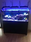 [TodoMarino.com] Vendo acuario +mesa+ sump - Algeciras