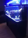 [TodoMarino.com] Vendo acuario +mesa+ sump - Algeciras