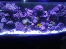 [TodoMarino.com] H2o titanium