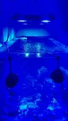 [TodoMarino.com] Vendo acuario 500 litros Mollet barcelona
