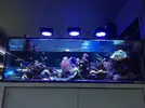 [TodoMarino.com] Vendo acuario 1000 l, mesa y sump - La Línea de la Concepción
