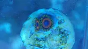 [TodoMarino.com] Vendo pack zoas - Sevilla