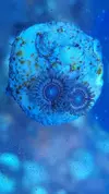 [TodoMarino.com] Vendo pack zoas - Sevilla