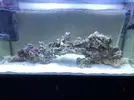 [TodoMarino.com] Mi nuevo marino 200L
