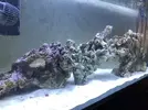 [TodoMarino.com] Mi nuevo marino 200L