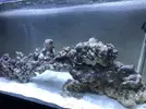 [TodoMarino.com] Mi nuevo marino 200L