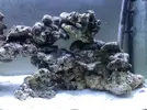 [TodoMarino.com] Mi nuevo marino 200L