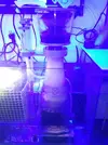 [TodoMarino.com] nyos quantum 120 regulación optima mejor rendimiento?