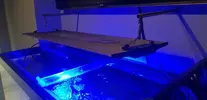 [TodoMarino.com] Maxspect r420r 180w - Guipúzcoa