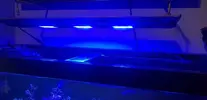 [TodoMarino.com] Maxspect r420r 180w - Guipúzcoa