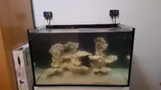 [TodoMarino.com] Llenar acuario primera vez
