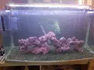 [TodoMarino.com] REEF ROCK 2.1: ROCA ARTESANAL REALISTA, UNA SOLUCIÓN ECOLÓGICA