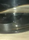 [TodoMarino.com] "Babosa" con pelos naranjas en el lomo