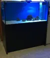 [TodoMarino.com] Acuario Marino 430L (castellon-valencia) - moncofa (castello)