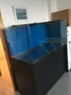 [TodoMarino.com] Acuario Marino 430L (castellon-valencia) - moncofa (castello)