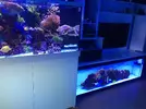 [TodoMarino.com] AMPLICACION ACUARIO. (750+ 350). CONSEJOS