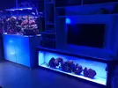[TodoMarino.com] AMPLICACION ACUARIO. (750+ 350). CONSEJOS
