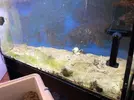[TodoMarino.com] VENDIDO. Acuario 275L y mas...