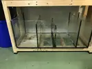 [TodoMarino.com] Vendo acuario 320L y dos sumps - Rebajas!! Madrid