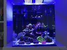 [TodoMarino.com] Julia’s reef