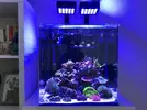 [TodoMarino.com] Julia’s reef
