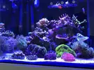 [TodoMarino.com] Julia’s reef