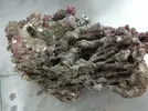 [TodoMarino.com] Vendo Roca Viva (Madrid) - Madrid