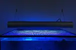 [TodoMarino.com] Ati powermodule 8x24 en garantia ''barata'' - Sevilla y envios.