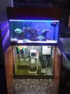 [TodoMarino.com] Vendo Acuario completo. - Tarragona