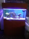 [TodoMarino.com] Vendo Acuario completo. - Tarragona