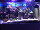 [TodoMarino.com] Acuario 230litros + 70l sump