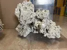 [TodoMarino.com] Ventino's reef