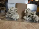 [TodoMarino.com] Ventino's reef
