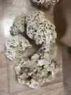 [TodoMarino.com] Ventino's reef