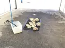 [TodoMarino.com] Ventino's reef