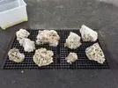[TodoMarino.com] Ventino's reef