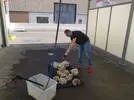 [TodoMarino.com] Ventino's reef