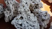 [TodoMarino.com] Ventino's reef