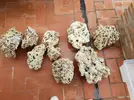 [TodoMarino.com] Ventino's reef