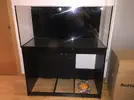 [TodoMarino.com] Ventino's reef