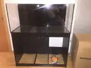 [TodoMarino.com] Ventino's reef