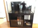 [TodoMarino.com] Ventino's reef