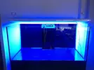 [TodoMarino.com] Ventino's reef