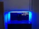 [TodoMarino.com] Ventino's reef